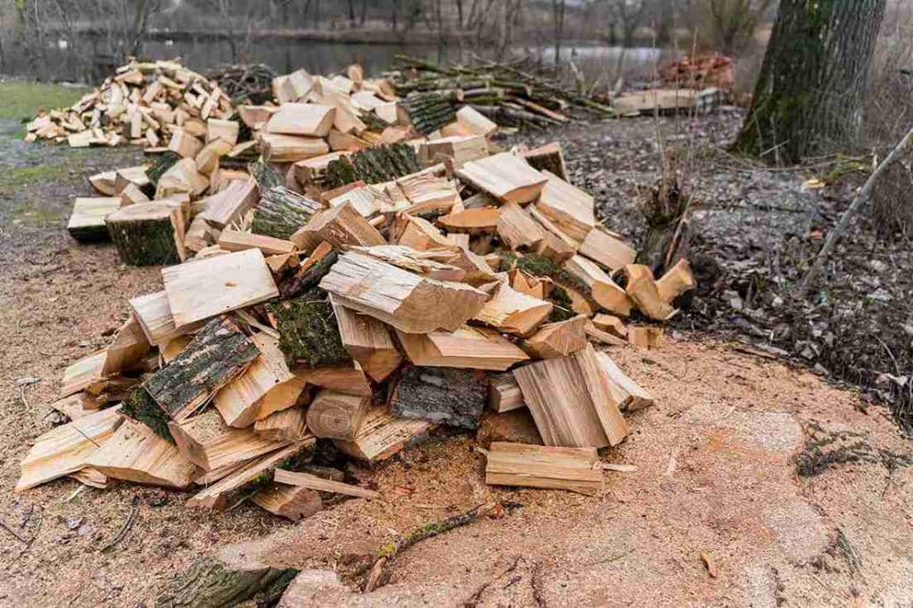 Pile of freshly cut wood chips and logs left after tree removal near a forested area