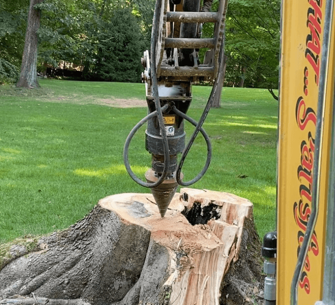 Stump Removal