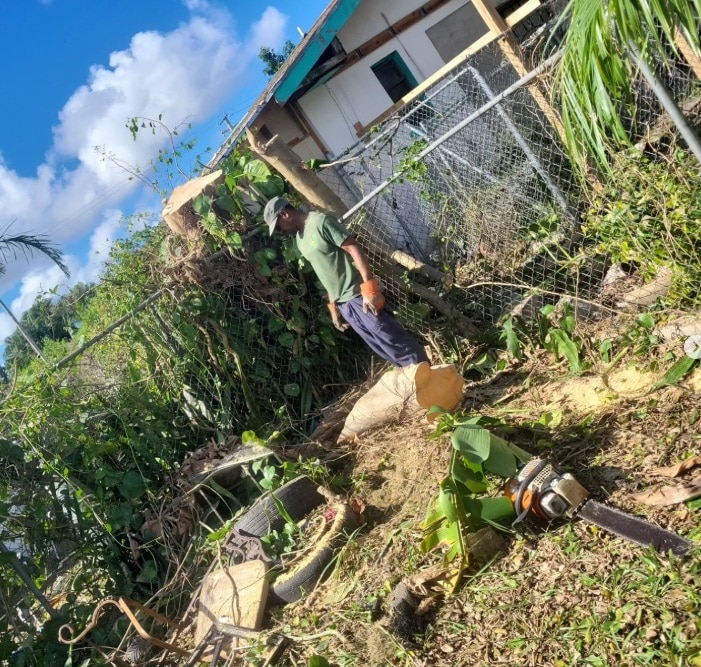 Worker cleaning up a yard after tree removal with chainsaw and stump visible.